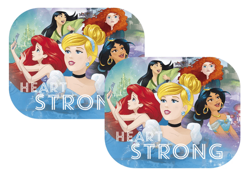 Cortina Lateral para Auto Princesas