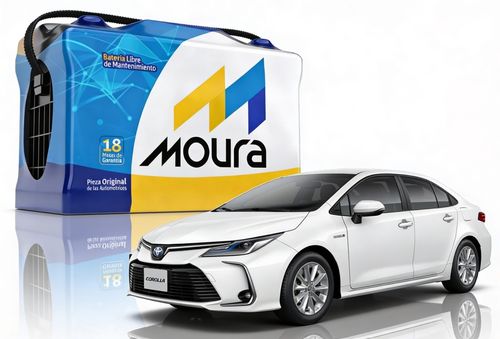 Batería Moura M22ed 12x55