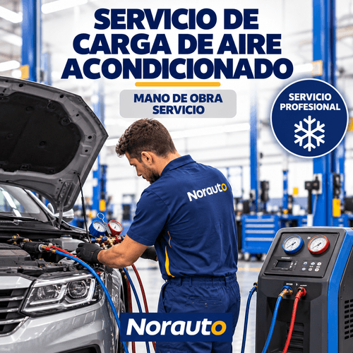 Servicio de Carga de Aire Acondicionado