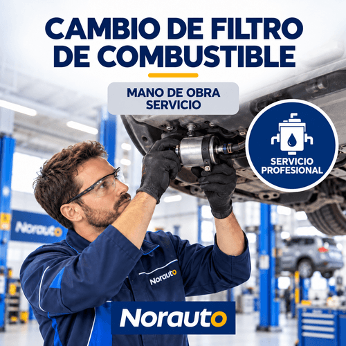 Servicio de cambio de filtro de combustible