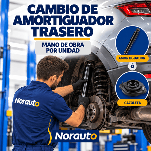 Servicio de cambio de amortiguador o cazoleta por unidad
